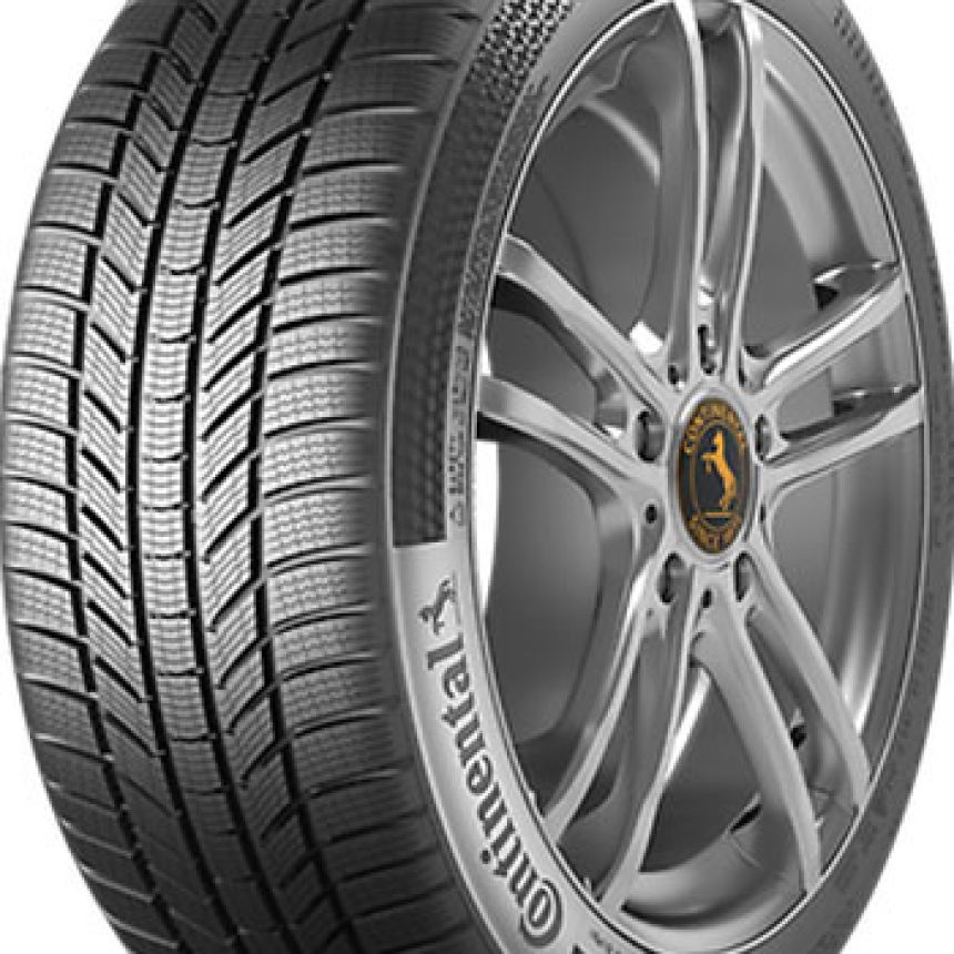 WinterContact TS 870 P 225/35-19 W